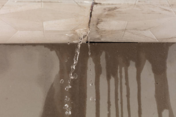 Professional Burst Pipe Cleanup technician working in Muir, MI